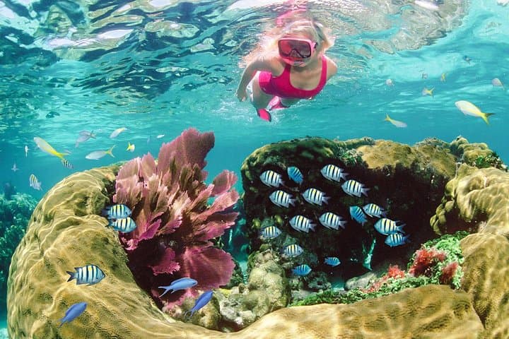 Key Largo Snorkel Tour: Sundiver's Family-Friendly Reefs at John Pennekamp photo 2