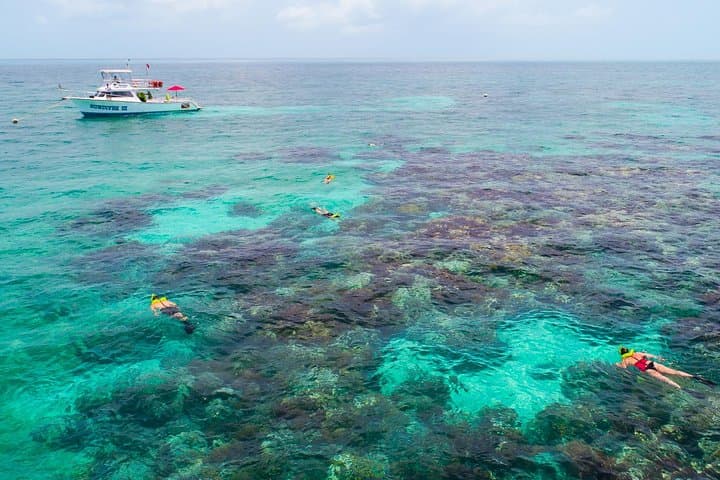 Key Largo Snorkel Tour: Sundiver's Family-Friendly Reefs at John Pennekamp