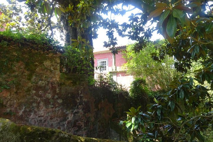 Minho Coast Private Day Tour: Viana do Castelo, Vila Nova de Cerveira & Moledo photo 6