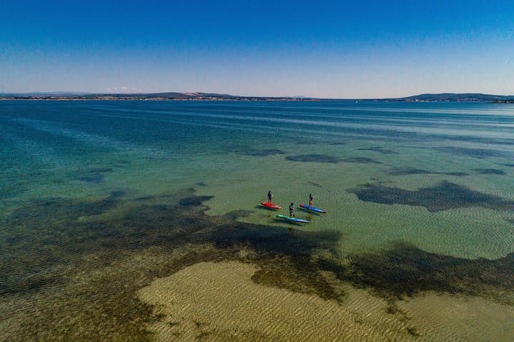 Stand-Up Paddle on Étang de Thau: Explore Sète’s Seagrass Lagoons