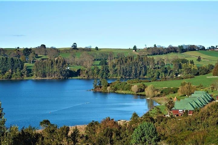 Half-Day Frutillar Lake Tour from Puerto Varas — Volcano Views & German Heritage photo 4