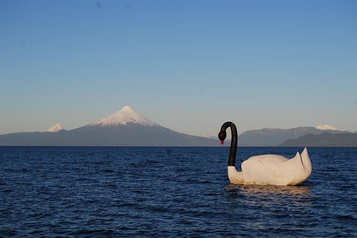 Half-Day Frutillar Lake Tour from Puerto Varas — Volcano Views & German Heritage photo 5