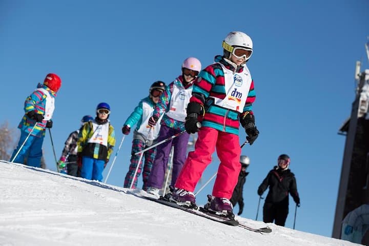 Vogel Ski Center: Full-Day Private Ski Lessons in Bohinj, Slovenia