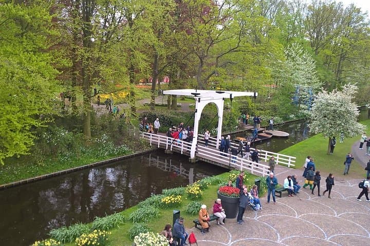 Keukenhof Tulips & Zaanse Schans Windmills Small-Group Tour from Amsterdam photo 4