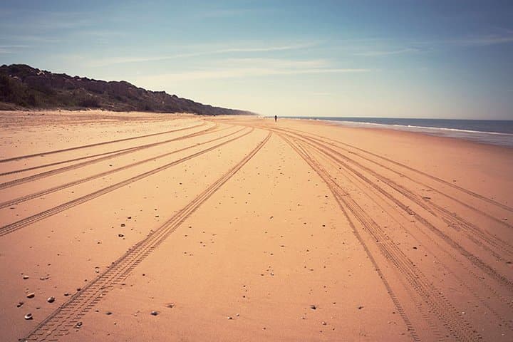 Doñana National Park Full-Day 4x4 Wildlife Tour from Seville