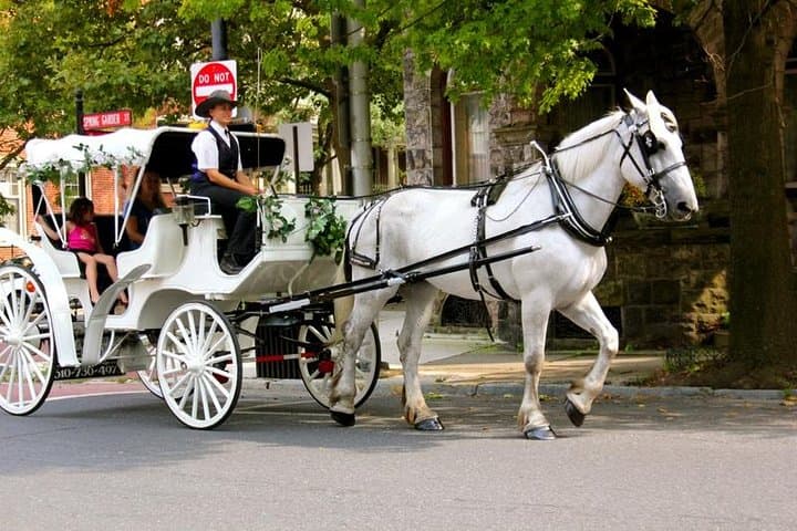 VIP Central Park Horse & Carriage Ride — Private 50-Minute Tour