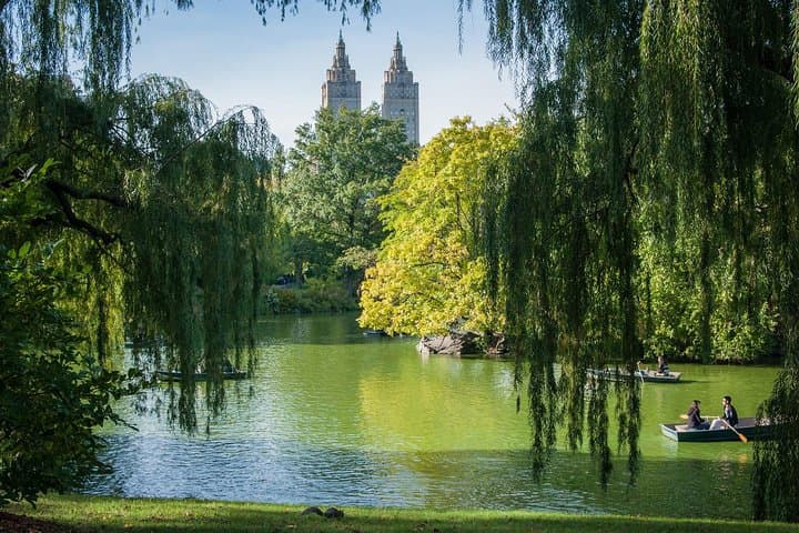Central Park Romantic Horse-Drawn Carriage Ride — VIP Private 45-Min Experience photo 3