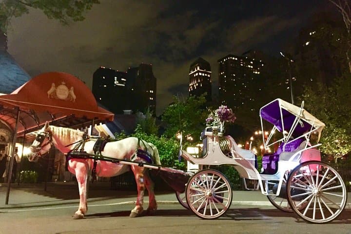 Central Park Romantic Horse-Drawn Carriage Ride — VIP Private 45-Min Experience photo 4