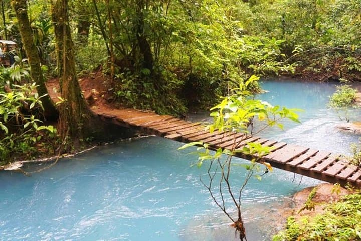 Rio Celeste Hike, Sloth Sanctuary & Llanos de Cortes Waterfall — Full-Day Adventure from Guanacaste photo 5
