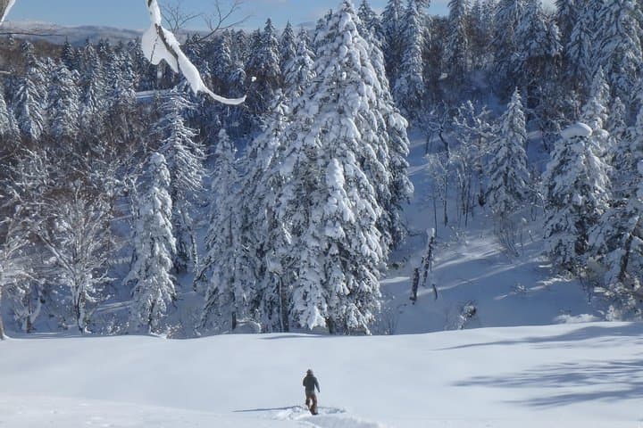 Snowshoe Hike from Sapporo to Jozankei: Guided Winter Forest Walk with Onsen photo 2