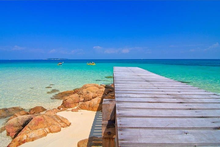 Speedboat to Coral Island: Snorkel, Beach & Thai Lunch from Phuket photo 3