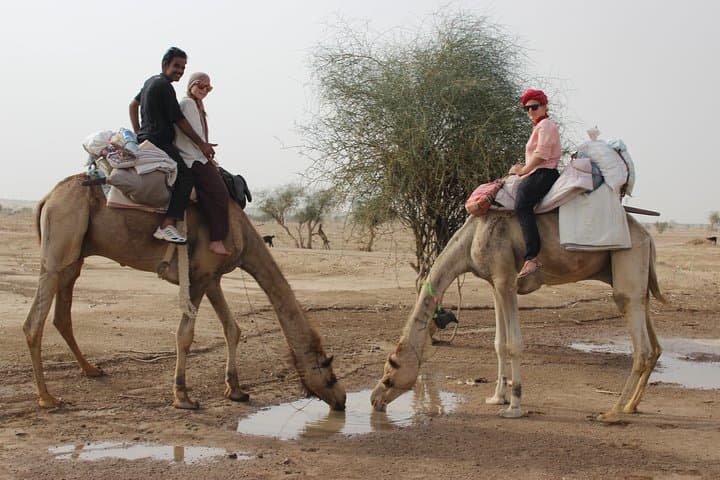 Thar Desert Camel Safari: 3-Day, 2-Night Jaisalmer Expedition photo 6