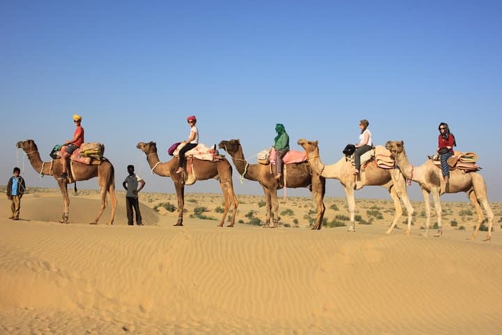 2-Day Thar Desert Camel Safari from Jaisalmer: Overnight Dunes & Village Experience