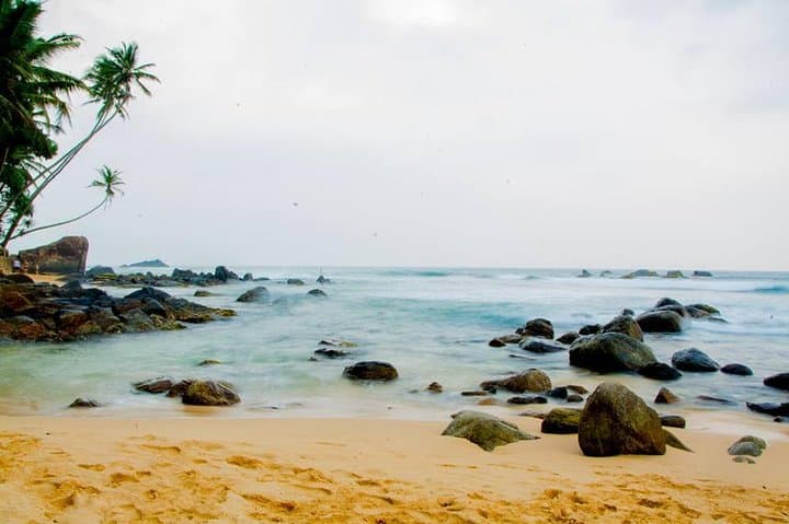 Galle Day Trip: Dutch Fort, Madu Ganga & Turtle Hatchery from Colombo