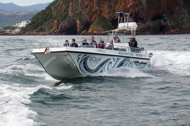 Whale Watching Knysna: Close-Encounter Ocean Odyssey from Knysna Heads photo 4