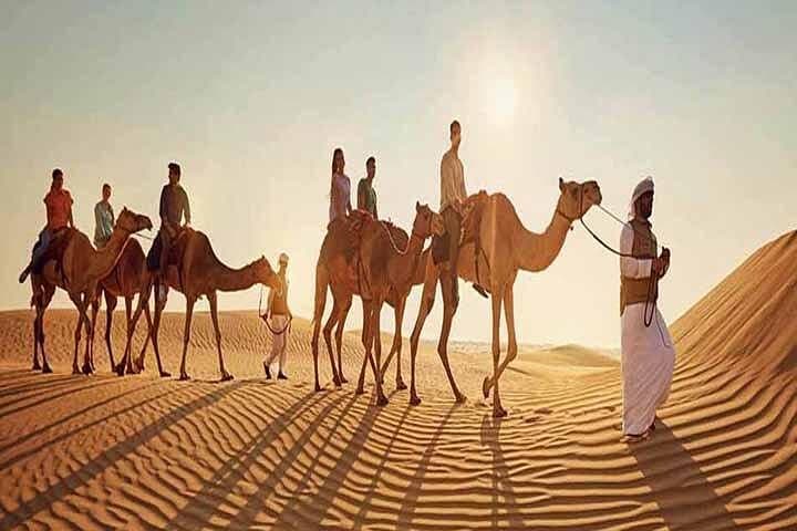 Dubai Morning Desert Safari: Camel Trekking & Sandboarding on the Red Dunes photo 2