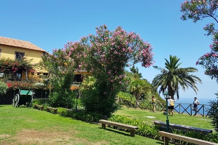 Santana Biosphere & Quinta do Furão Waterfall Private 4-Hour Tour Madeira photo 3