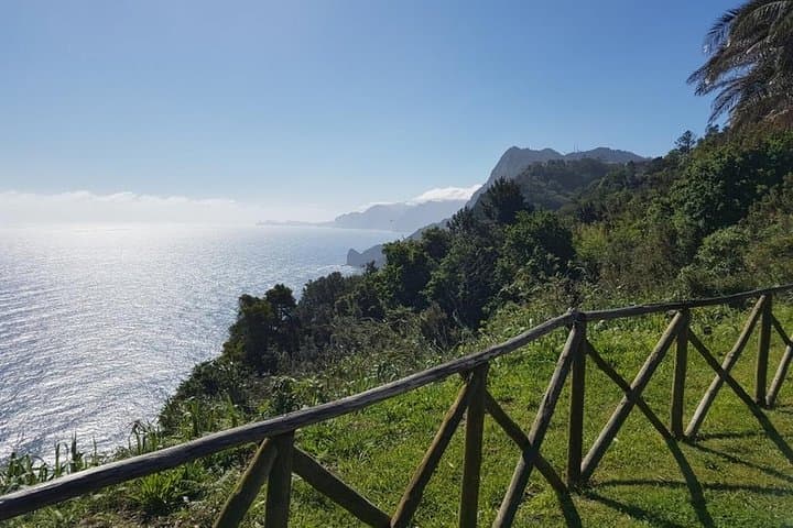 Santana Biosphere & Quinta do Furão Waterfall Private 4-Hour Tour Madeira photo 4
