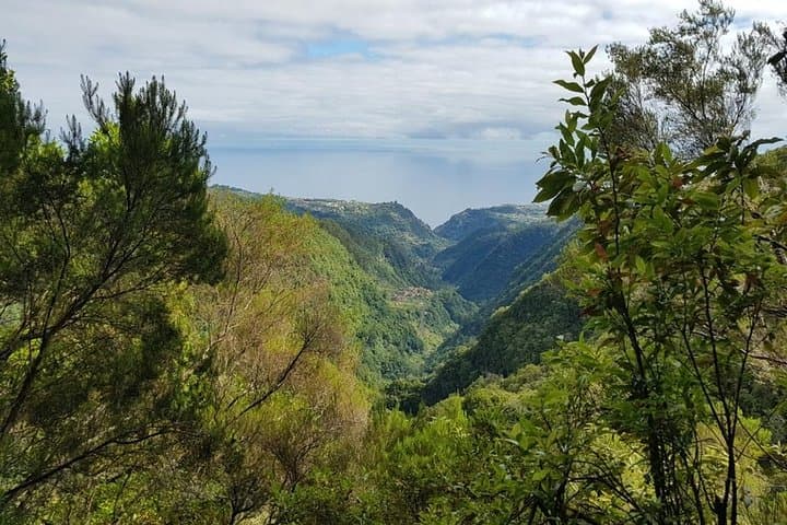 Santana Biosphere & Quinta do Furão Waterfall Private 4-Hour Tour Madeira photo 5