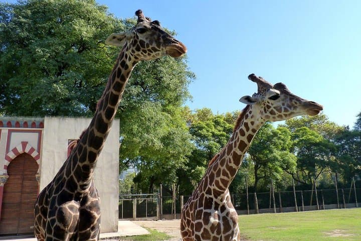 Temaikén Biopark Day Trip from Buenos Aires — Guided Visit with Transfers photo 4