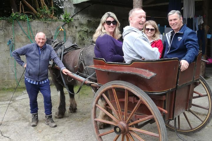 Dingle Peninsula Private Chauffeur Day Tour from Killarney: Drive, Beaches, and Ancient Sites photo 4