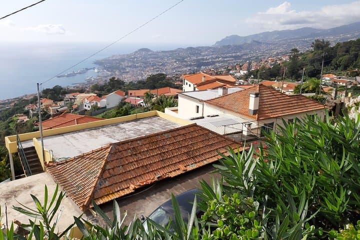 Private Half-Day Flower Tour to Palheiro Gardens & Funchal Viewpoints photo 2