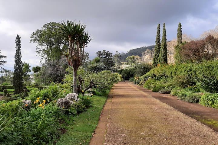 Private Half-Day Flower Tour to Palheiro Gardens & Funchal Viewpoints photo 3