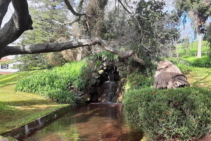 Private Half-Day Flower Tour to Palheiro Gardens & Funchal Viewpoints photo 5