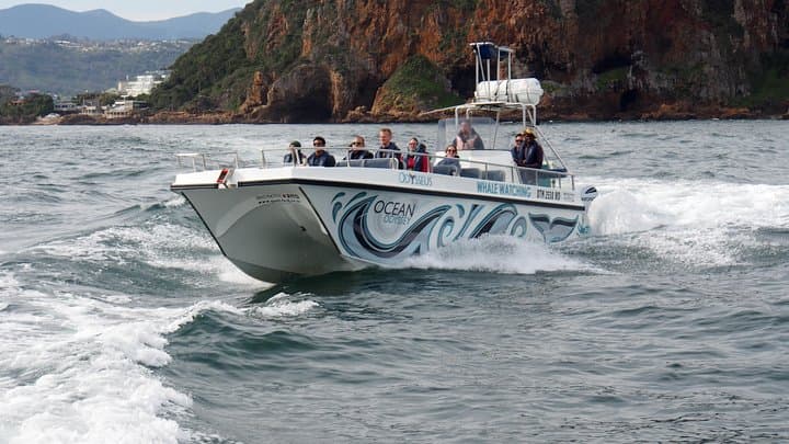 Knysna Lagoon Cruise: Marine Life & Garden Route Coastline Sightseeing photo 2