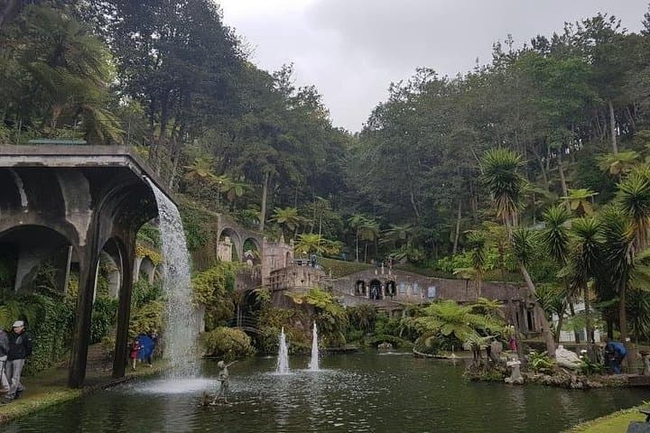 Private Half-Day Madeira Garden Tour: Monte Palace & Botanical Garden (Funchal) photo 2