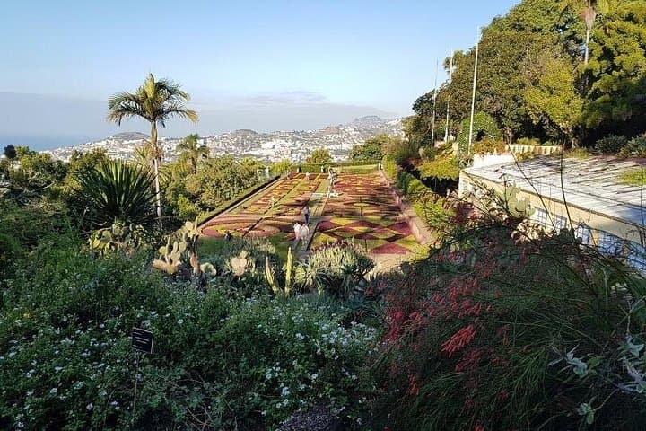 Private Half-Day Madeira Garden Tour: Monte Palace & Botanical Garden (Funchal) photo 3