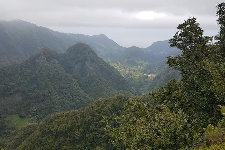 East Madeira Private Tour: Pico Views, Levadas & São Lourenço Peninsula photo 4