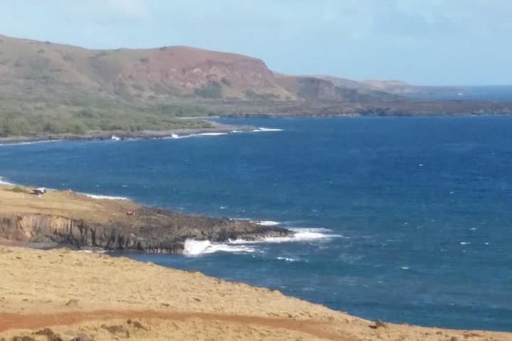 Private Road to Hana Tour from Kahului — Waterfalls, Turtles, and Coastal Skyline photo 4
