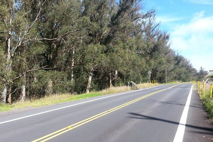 Private Road to Hana Tour from Kahului — Waterfalls, Turtles, and Coastal Skyline photo 5