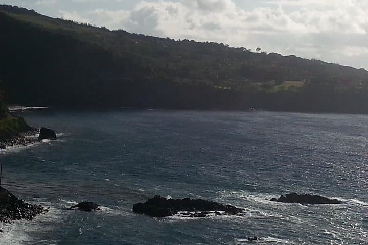 Private Road to Hana Tour from Kahului — Waterfalls, Turtles, and Coastal Skyline photo 6