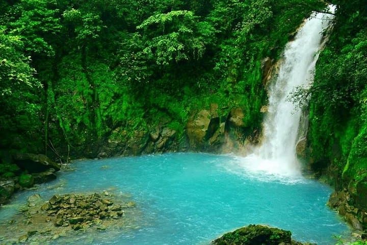 Río Celeste Hike and Swim at Tenorio Volcano National Park photo 6