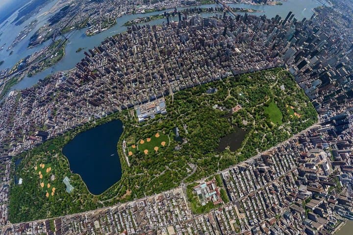 Central Park Short Horse Carriage Loop — 20-Minute Ride from 59th & 6th photo 3