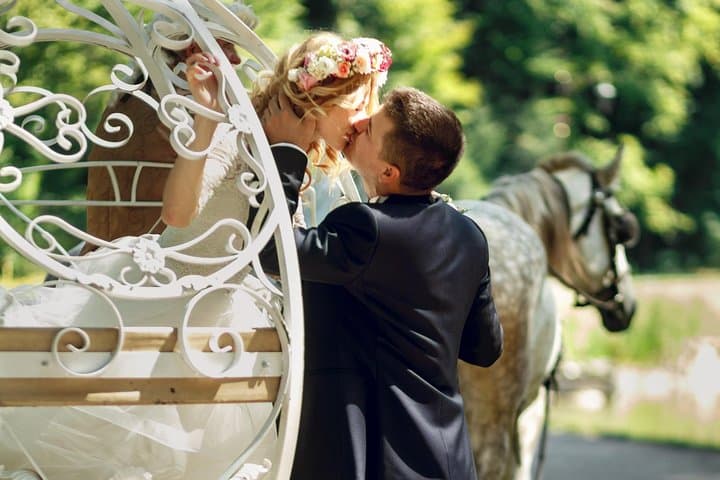 Romantic Proposal Carriage Tour in Central Park — Private Horse-Drawn Ride & Photographer