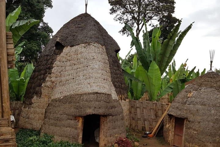 4-Day Arba Minch & Southern Ethiopia Cultural Tour from Addis Ababa photo 4
