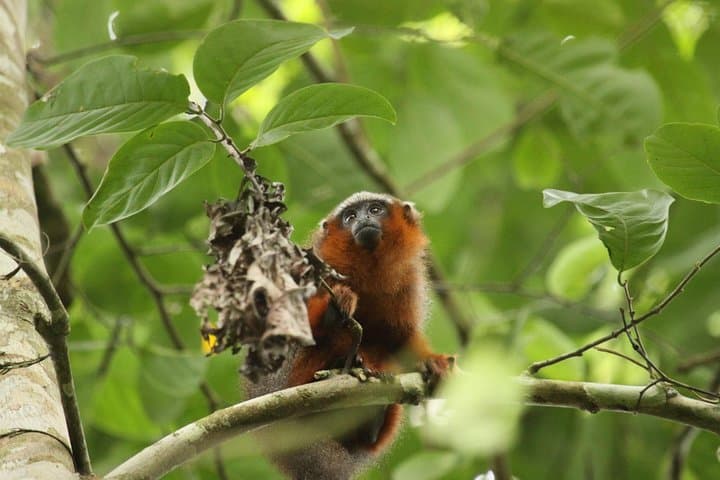6-Day Cuyabeno & Papallacta Amazon Jungle Expedition photo 3