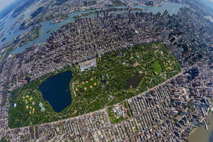 Central Park Horse Carriage Ride: 45-Minute Scenic Tour from Columbus Circle photo 3