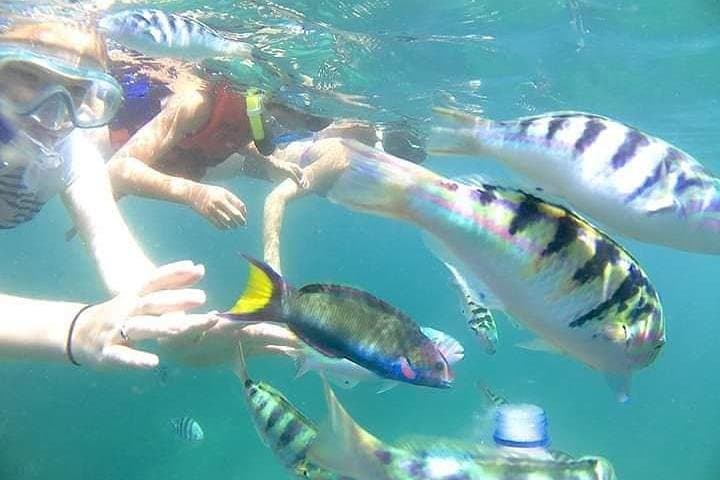 East Bali Gate of Heaven & Blue Lagoon Snorkel — Private Lempuyang, Tirta Gangga & Beach Lunch photo 2