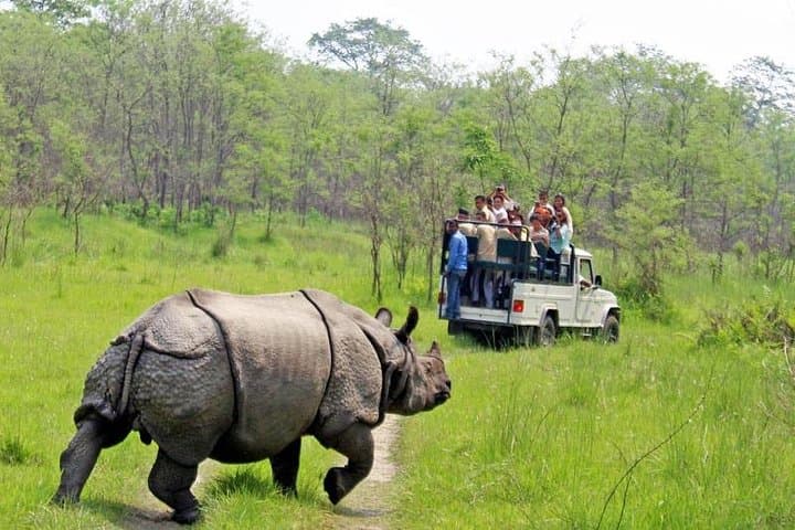 Kathmandu Chitwan Pokhara: 8-Day Culture and Wildlife Tour photo 3