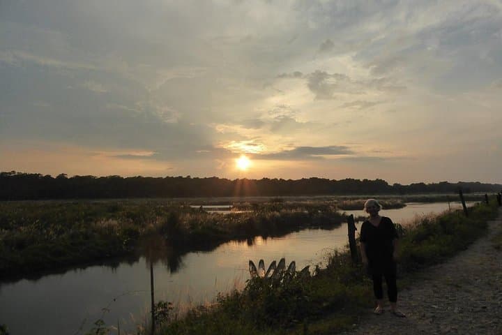 Kathmandu Chitwan Pokhara: 8-Day Culture and Wildlife Tour photo 4