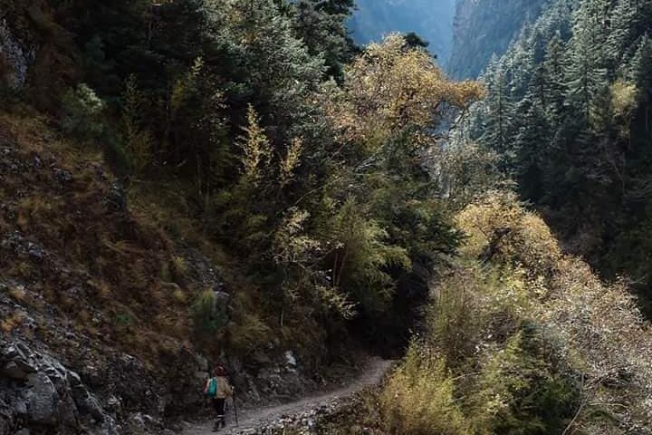 19-Day Nar Phu Valley Trek: Remote Annapurna High-Pass Adventure photo 4