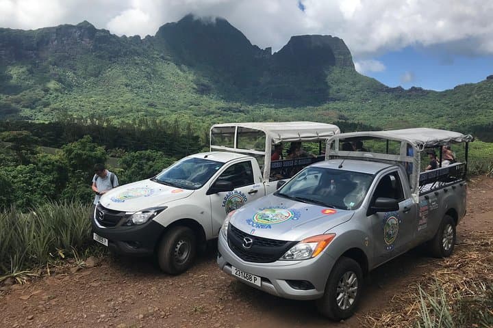 Moorea 4WD Morning Adventure: Magic Mountain, Belvedere Lookout & Bubbly photo 5