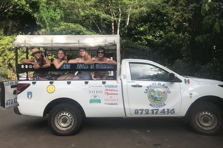 Moorea 4WD Tour — Belvedere, Pineapple Farm & Magic Mountain (4-Hour) photo 5