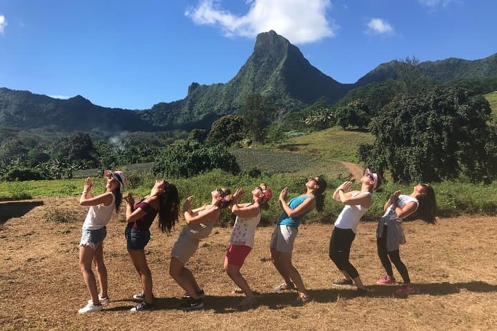 Moorea 4WD Tour — Belvedere, Pineapple Farm & Magic Mountain (4-Hour) photo 6