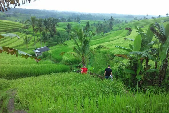 Adventure and Culture: Bali Quad ATV with Ubud Halfday Tour photo 4