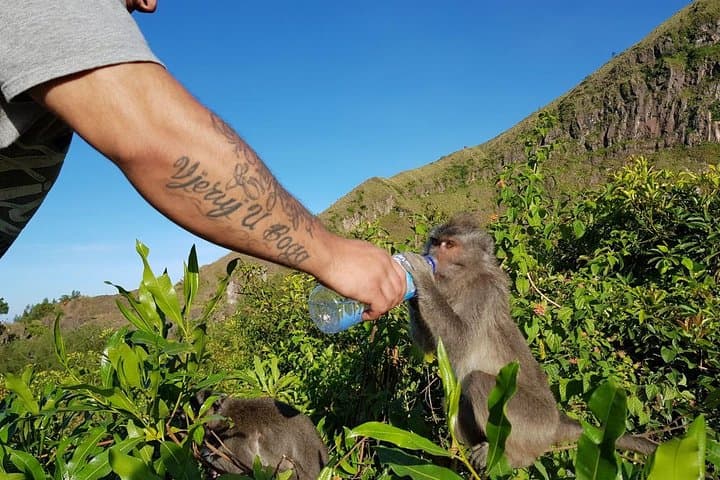 Experience Bali's Secrets: Sunrise Trekking and ATV Excursions photo 5